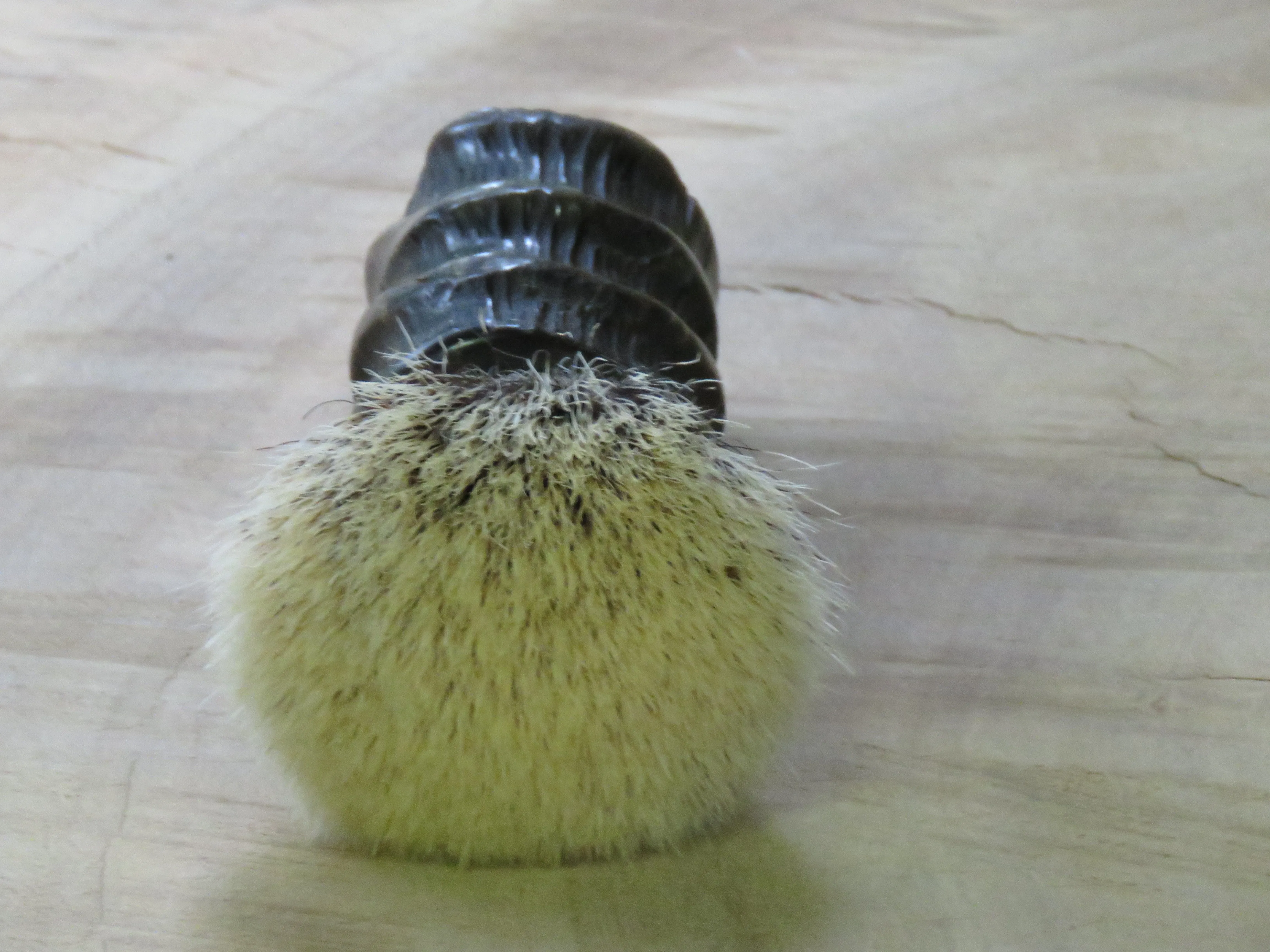 African Black Brush  (ABB112) Finest two band on Waterbuck.