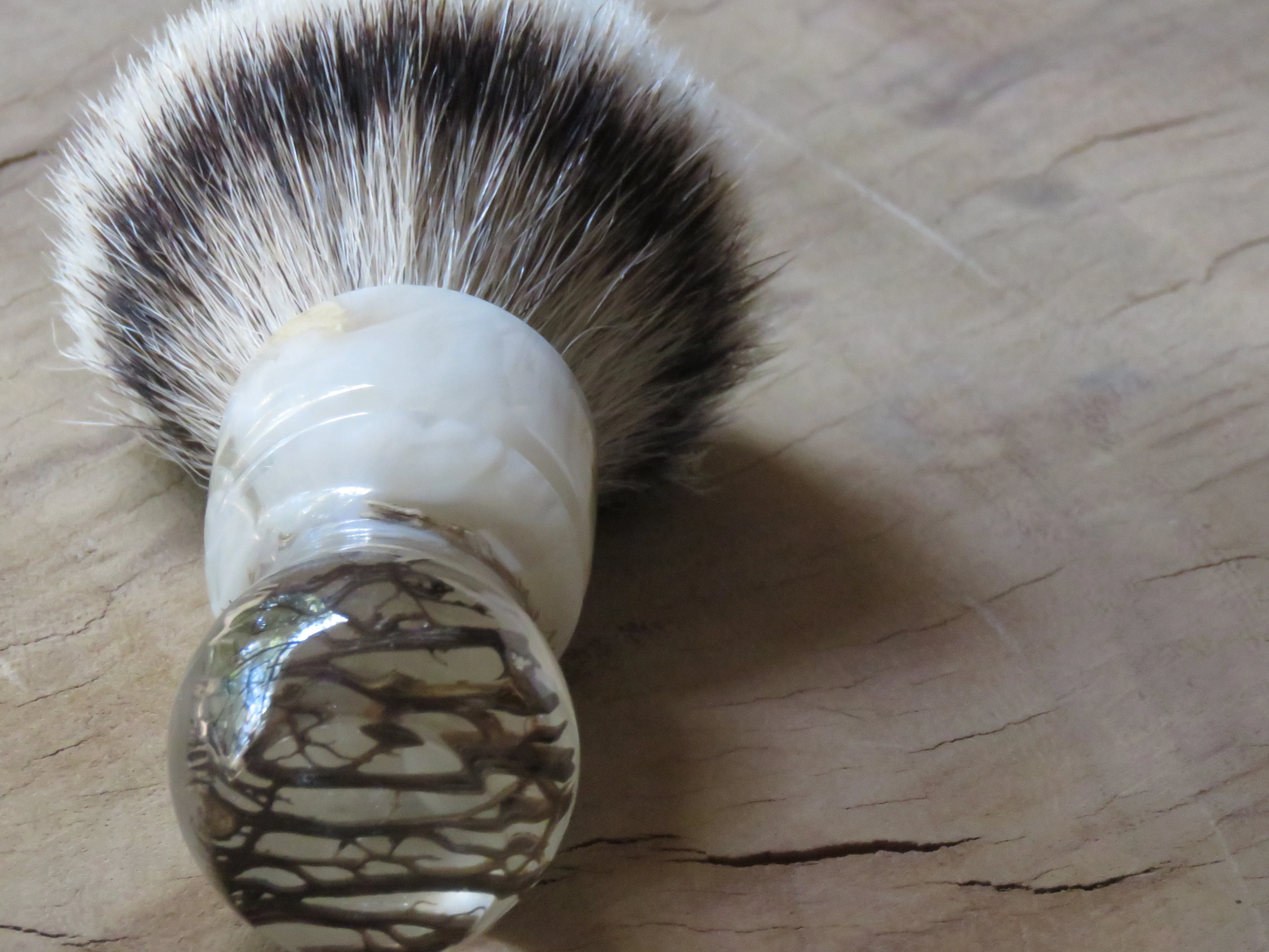 African Black Brush  (ABB84)