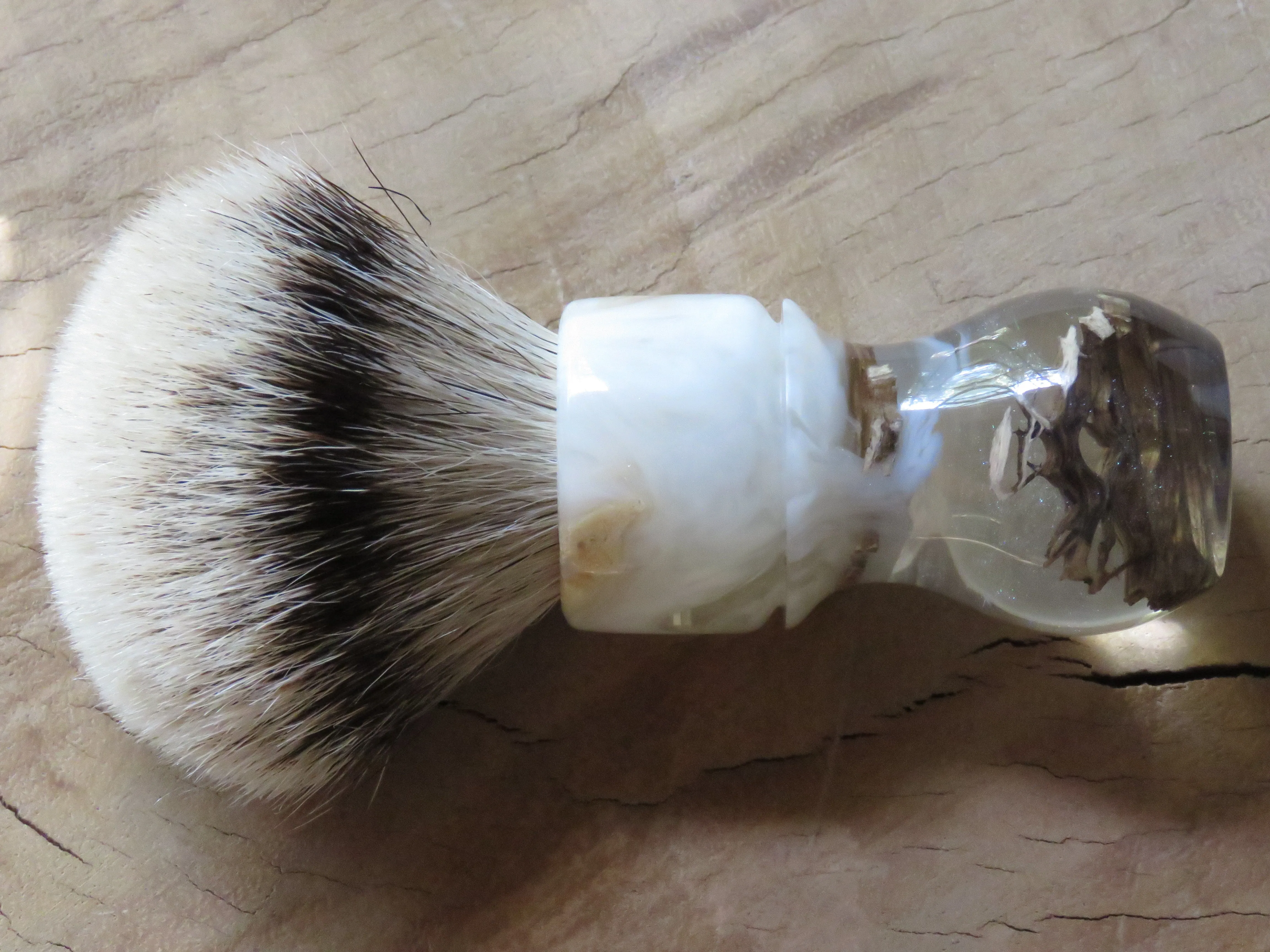 African Black Brush  (ABB84)