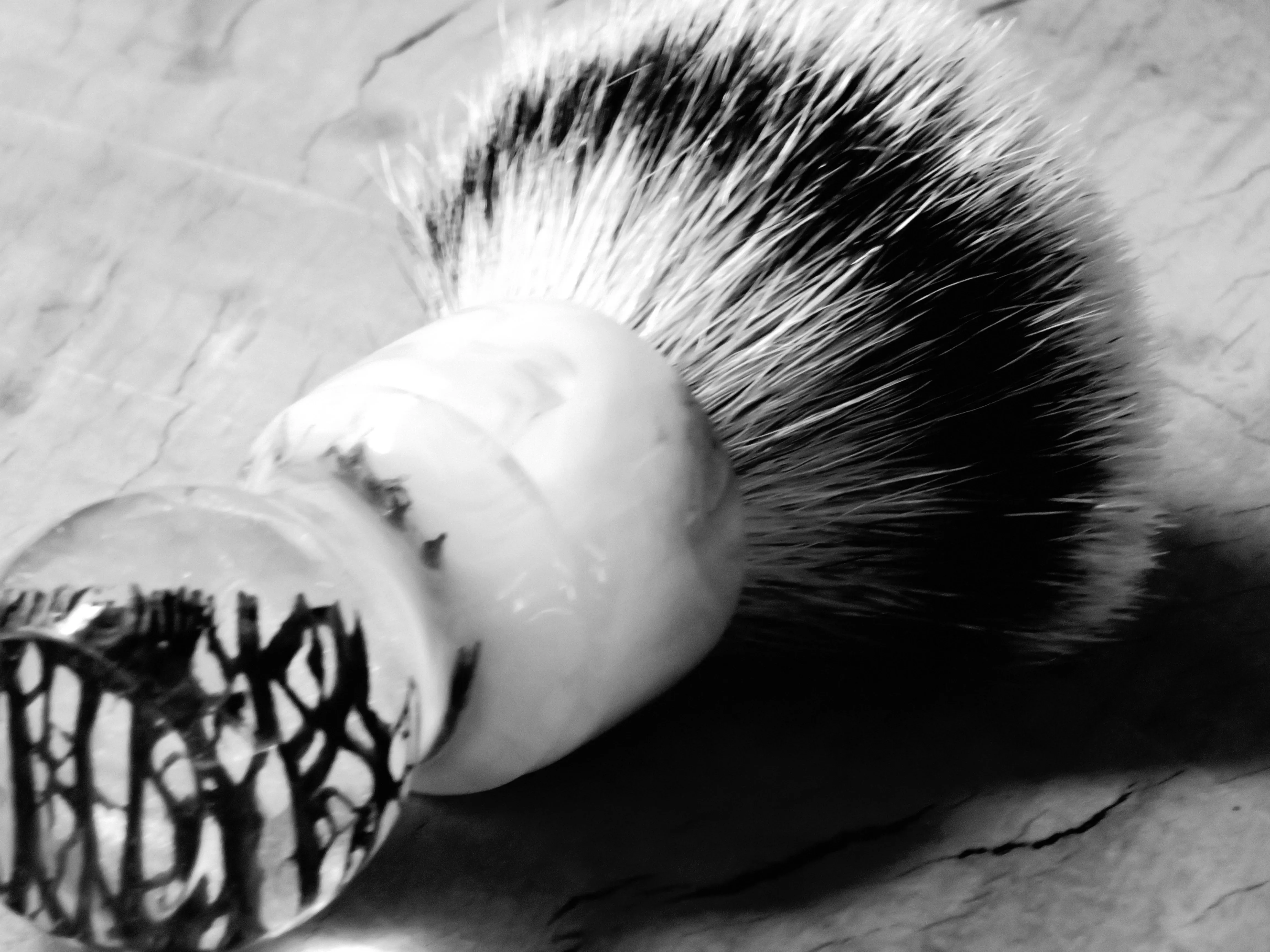 African Black Brush  (ABB84)