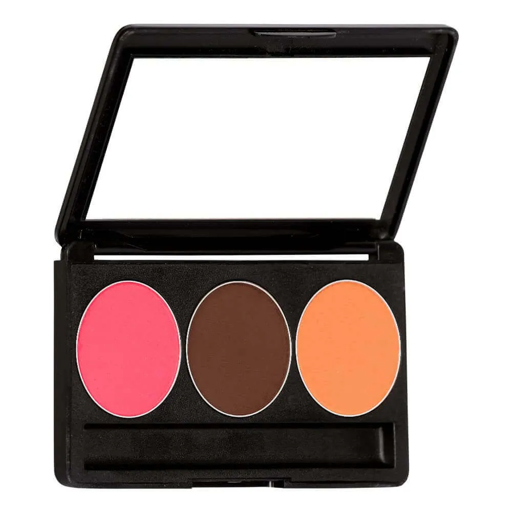 BASIC TRIO 1 (BLUSHER & CONTOUR) (13 gm)
