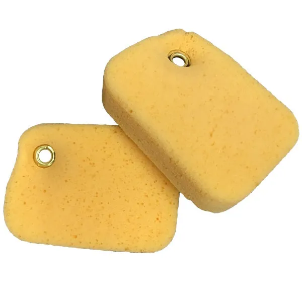 Boat Sponge