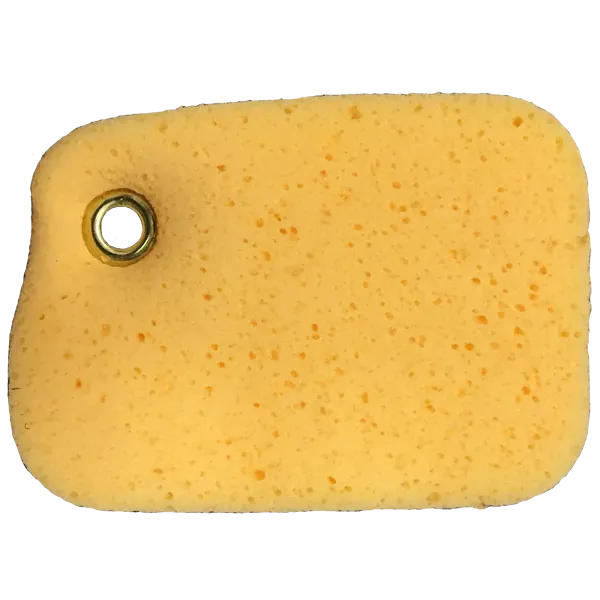 Boat Sponge