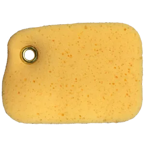 Boat Sponge