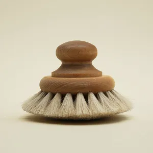 Body Brush