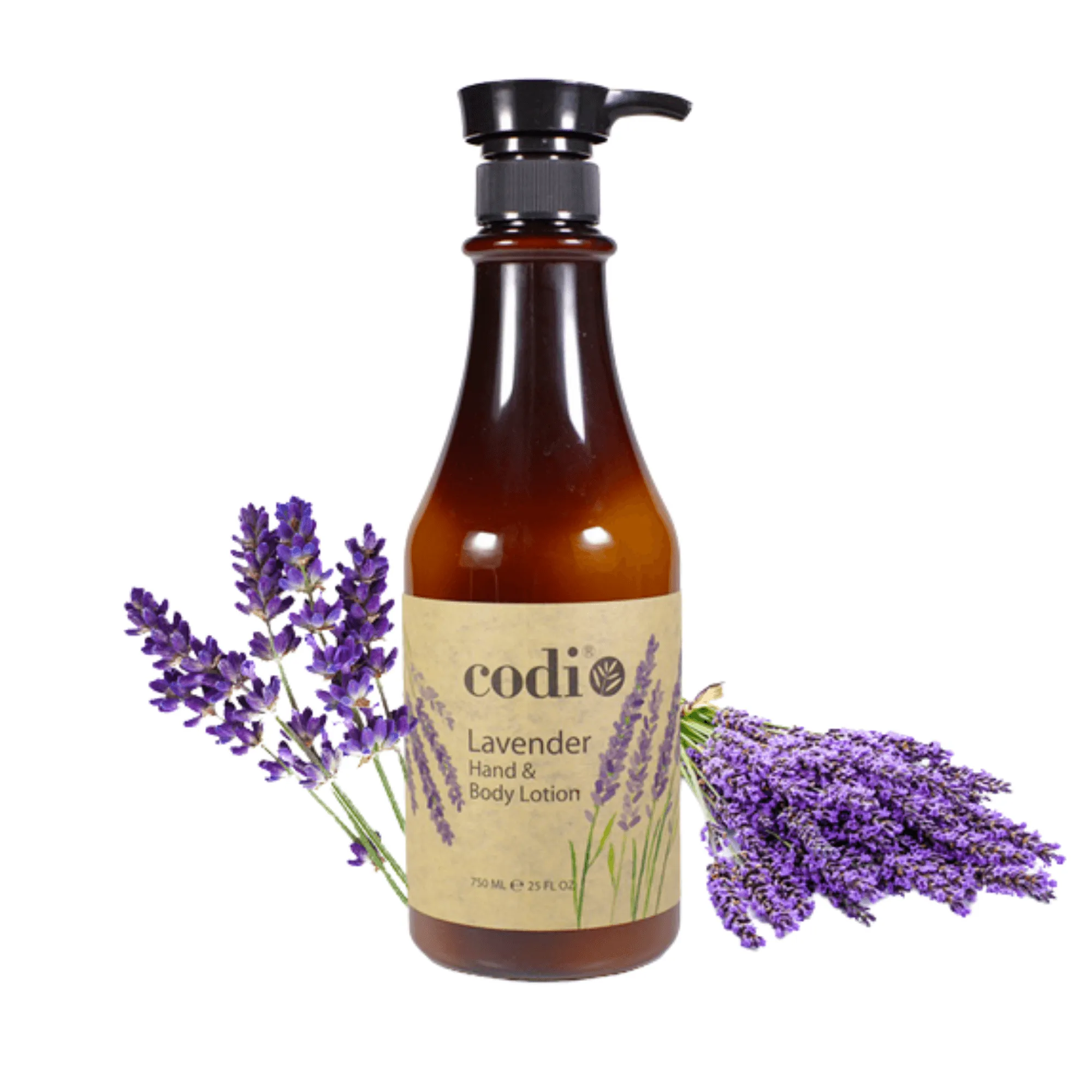 Codi Lotion Bottle Lavender 25oz