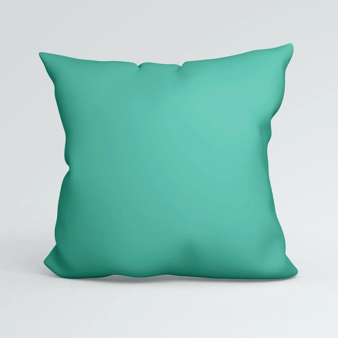 CUSHION CO-ORD Swimming Border Collie Dog CP-429