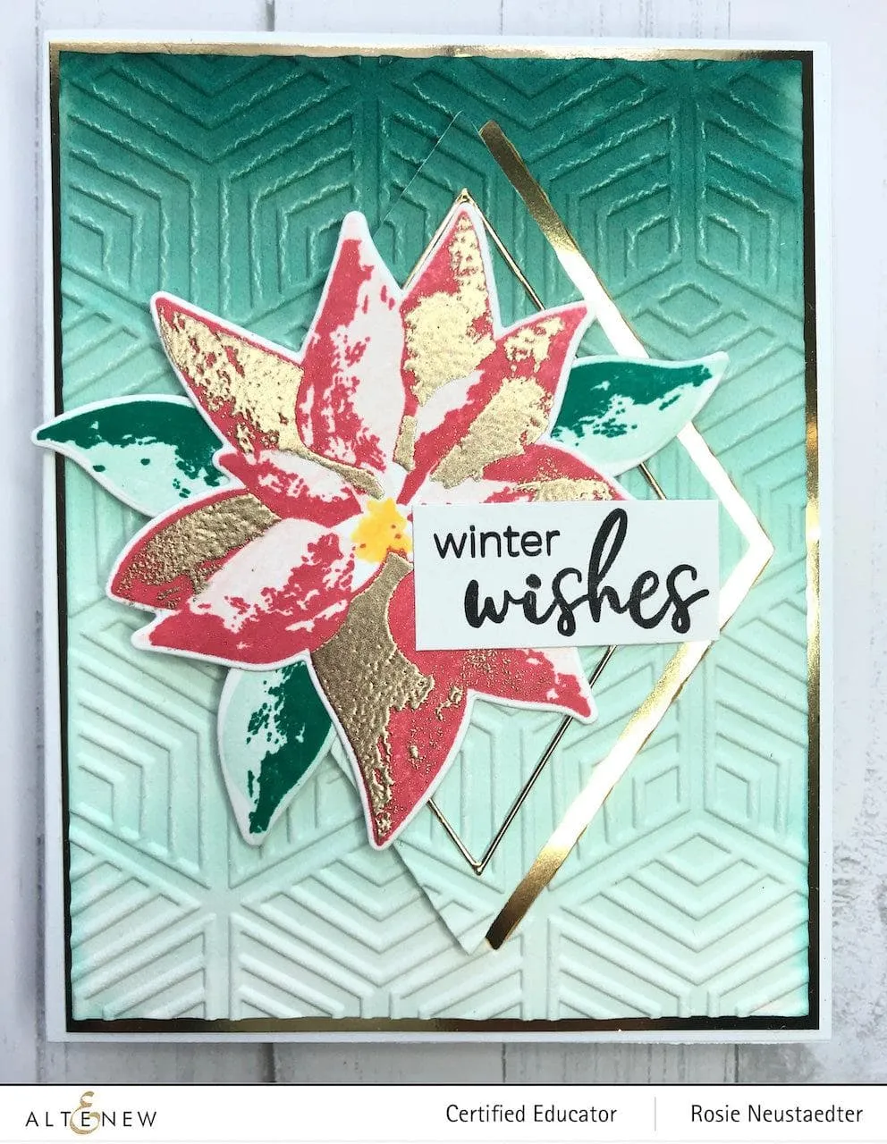 Dry Brush Poinsettia