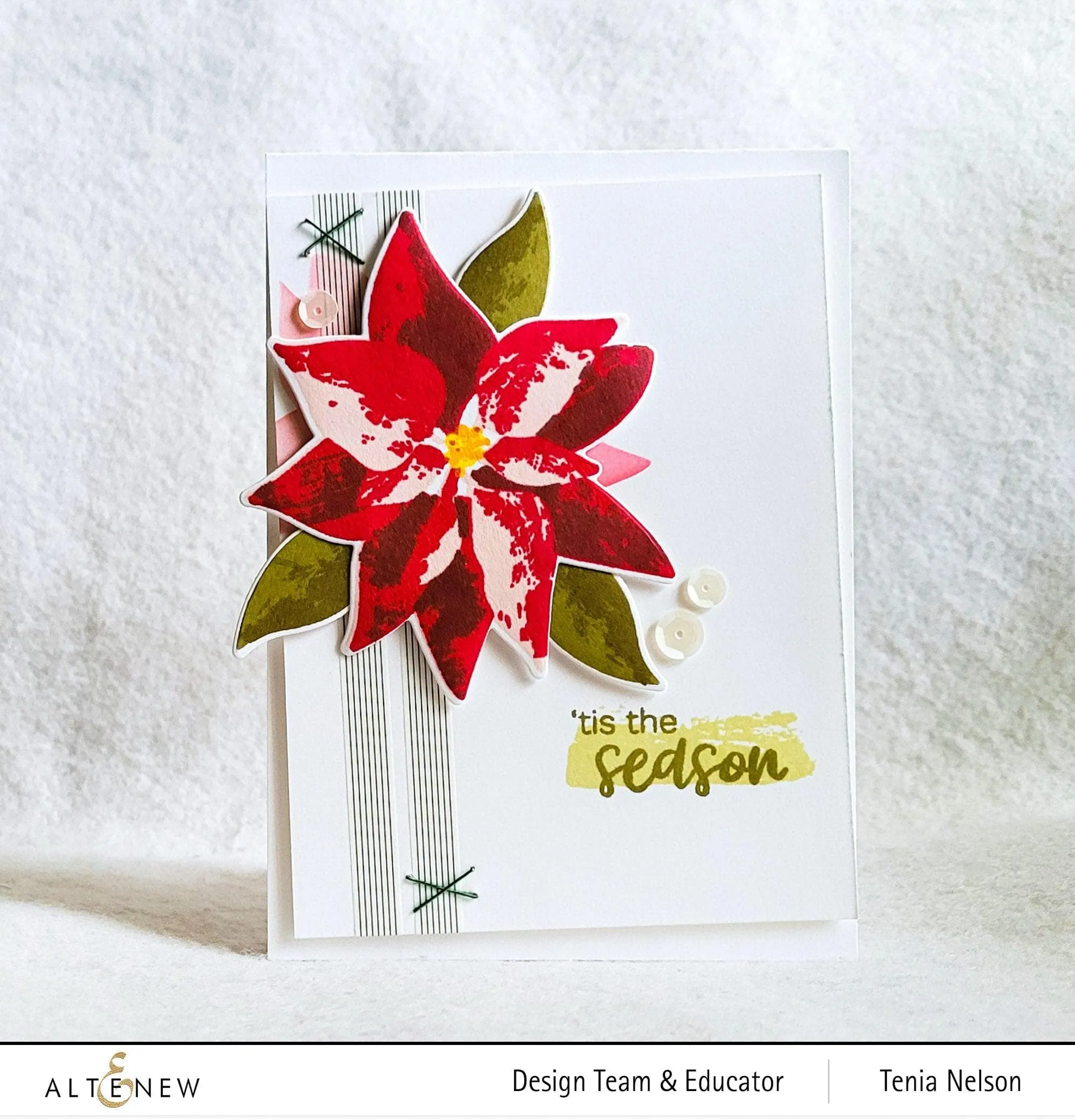 Dry Brush Poinsettia
