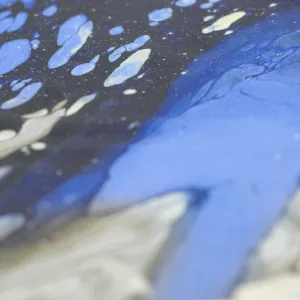 Emulsion resin - Grand - Blue