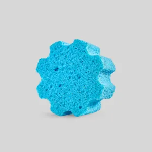 Face Sponge