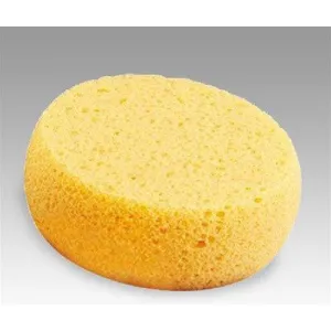 Foam "Hydra" Sponge Applicator