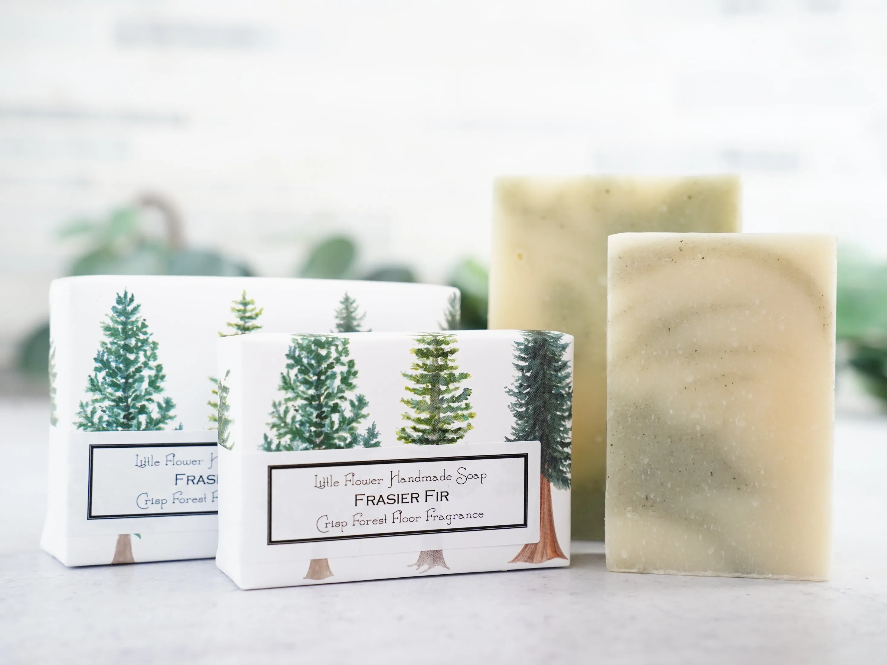 Frasier Fir - Large Bar Soap 6oz