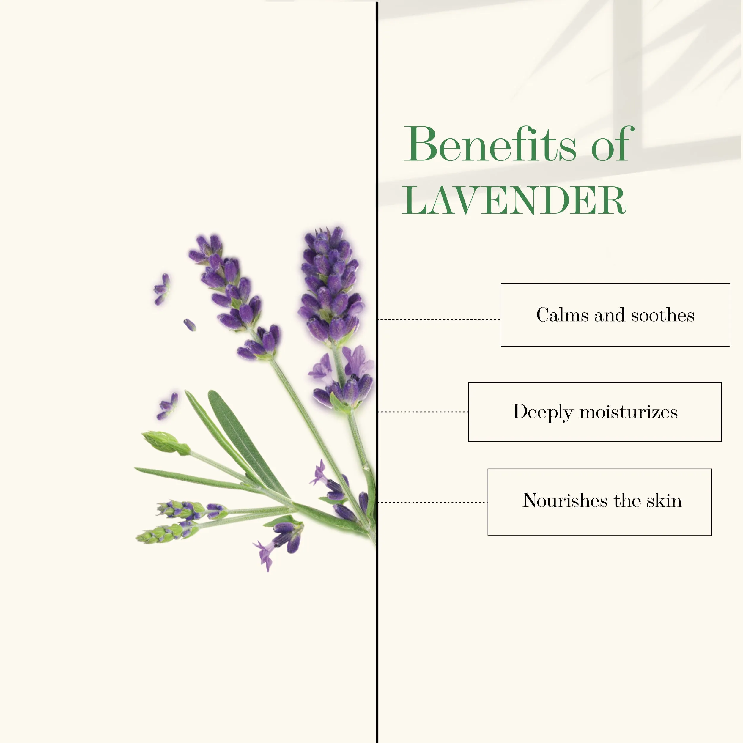 Good Vibes Nourishing Foot Cream - Lavender (50 gm)