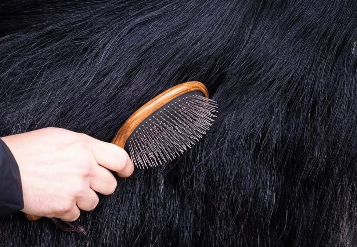 Hairy Pony Mane & Tail Brush