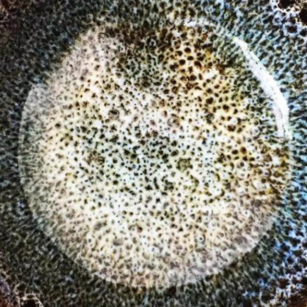 Handmade Ceramic Bowl - Face Mask Mixing Bowls