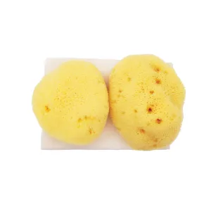 JADE & PEARL Sea Pearl Reusable Prolapse Sponge or Menstrual Sponge - XL   Firm (2 Pack)