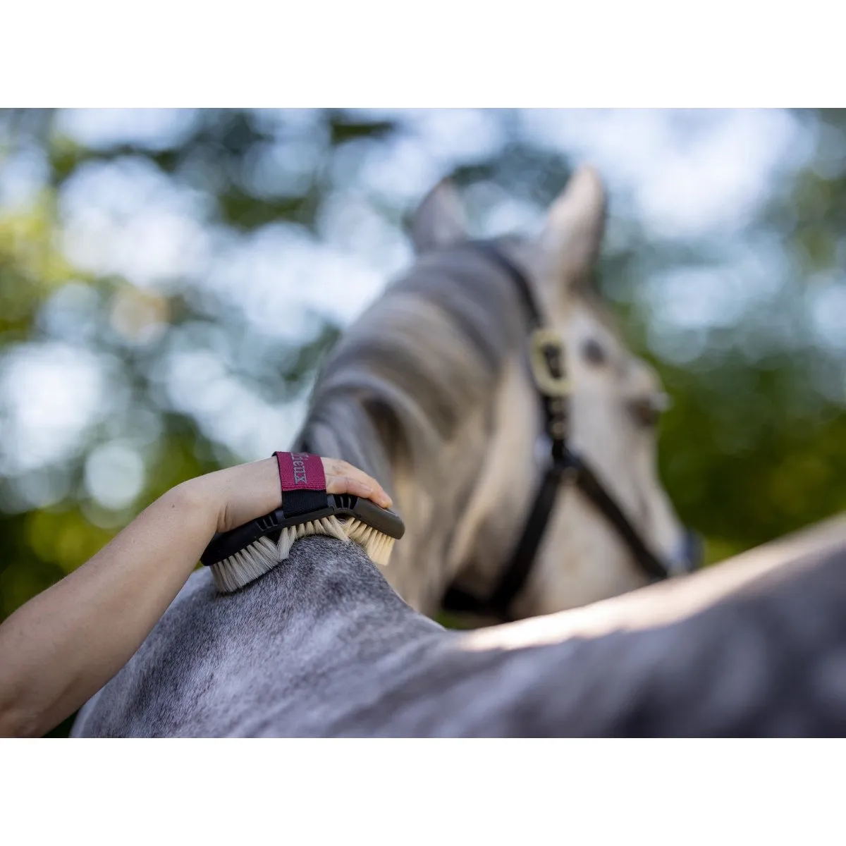 LeMieux Flexi Goat Hair Body Brush
