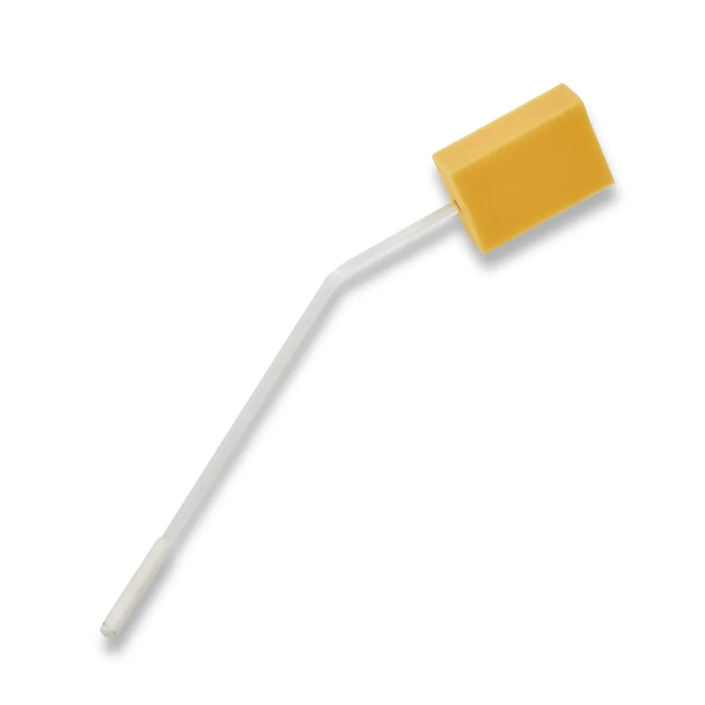 Long Handled Bath Sponge