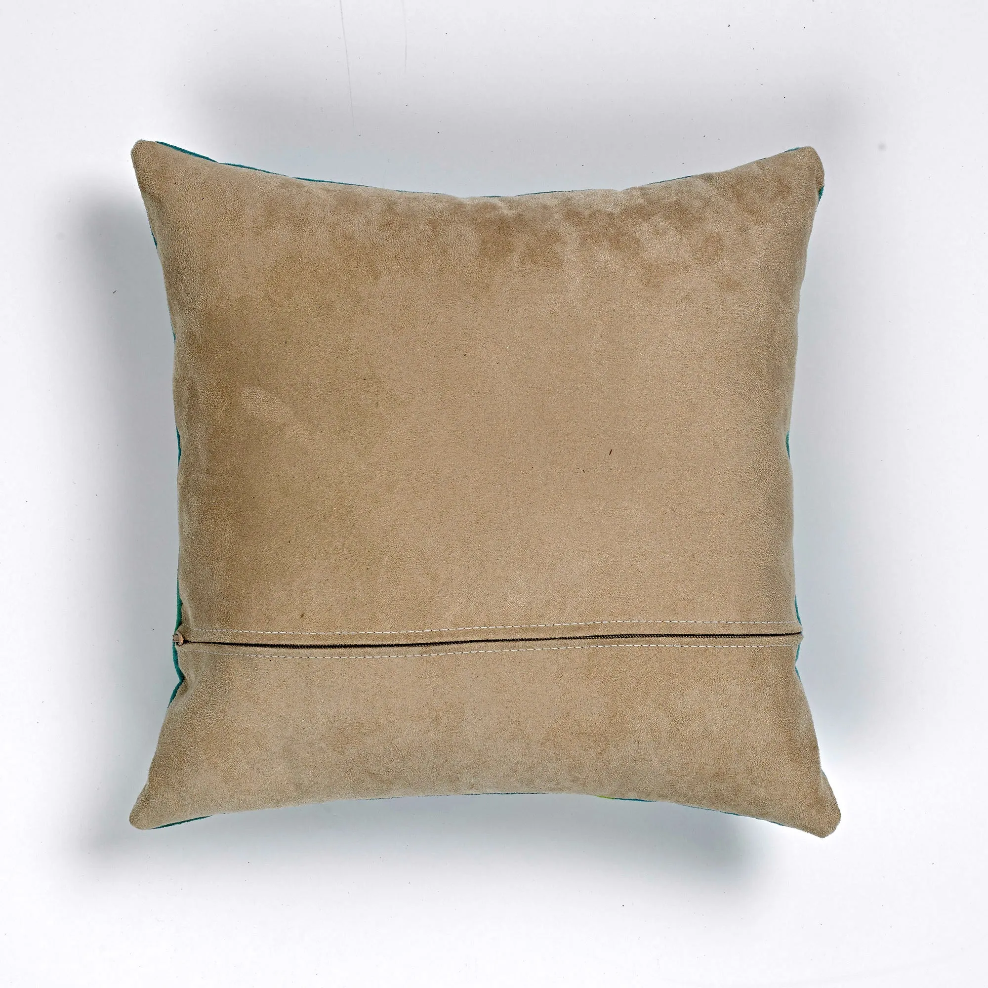 Lovely Longhorns Cushion