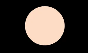 N3 COOL NEUTRAL MINERAL  PRESSED POWDER COMPACT