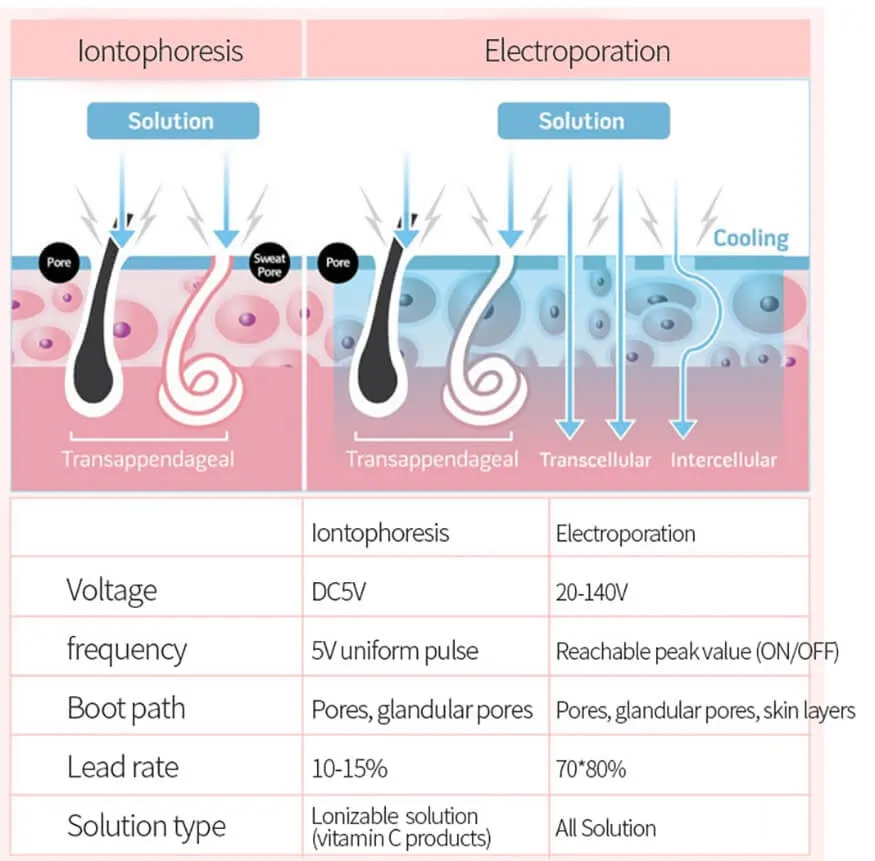 New Sliming DCOOL Portable Cool Hot EMS For Skin Tightening Anti Puffiness Electroporation Facial Machine Beauty Device