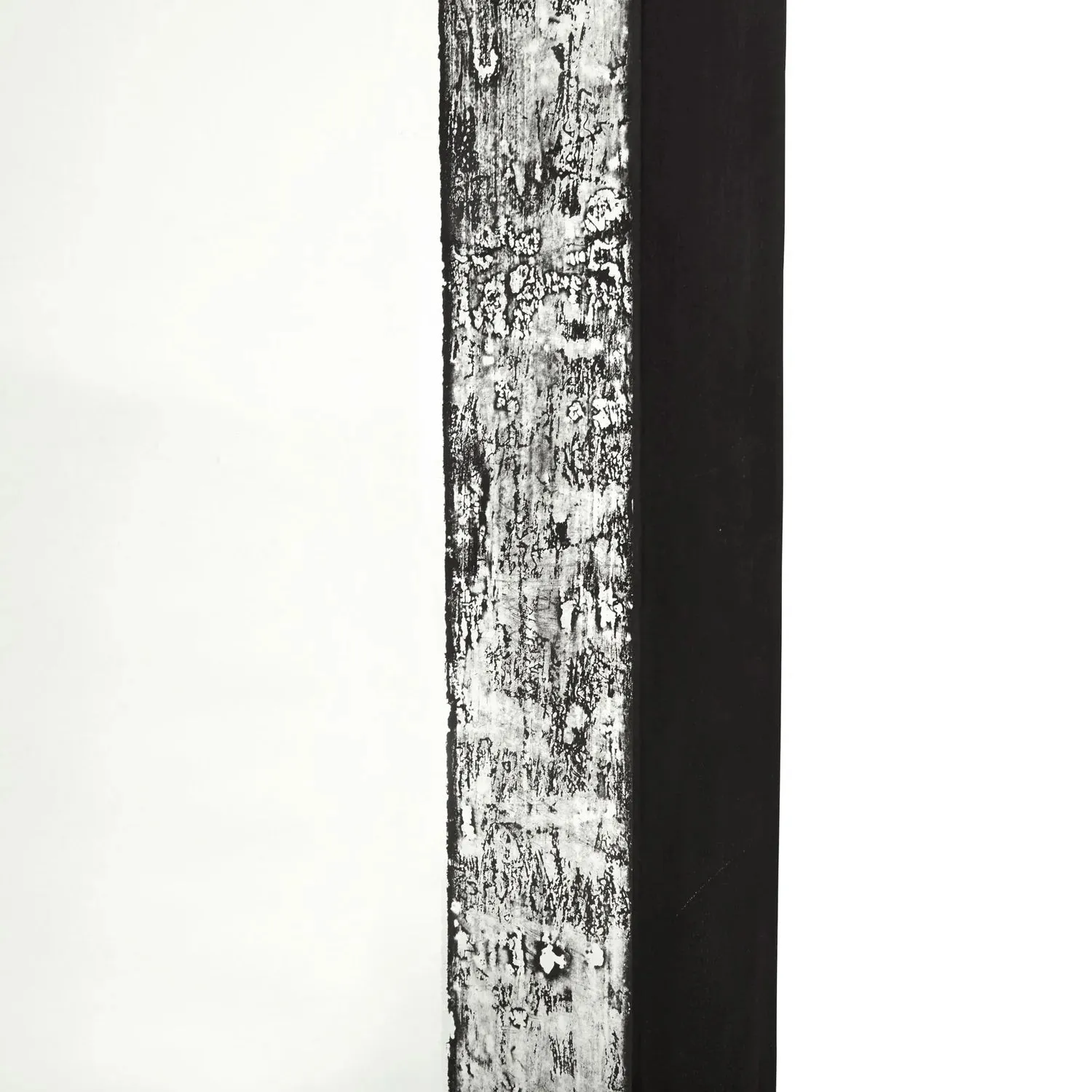 Octavia Wall Mirror