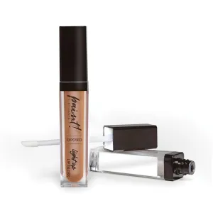 Paint by Caren Lip Gloss - Exposed