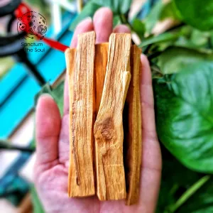 Palo Santo Bundle (High Grade)