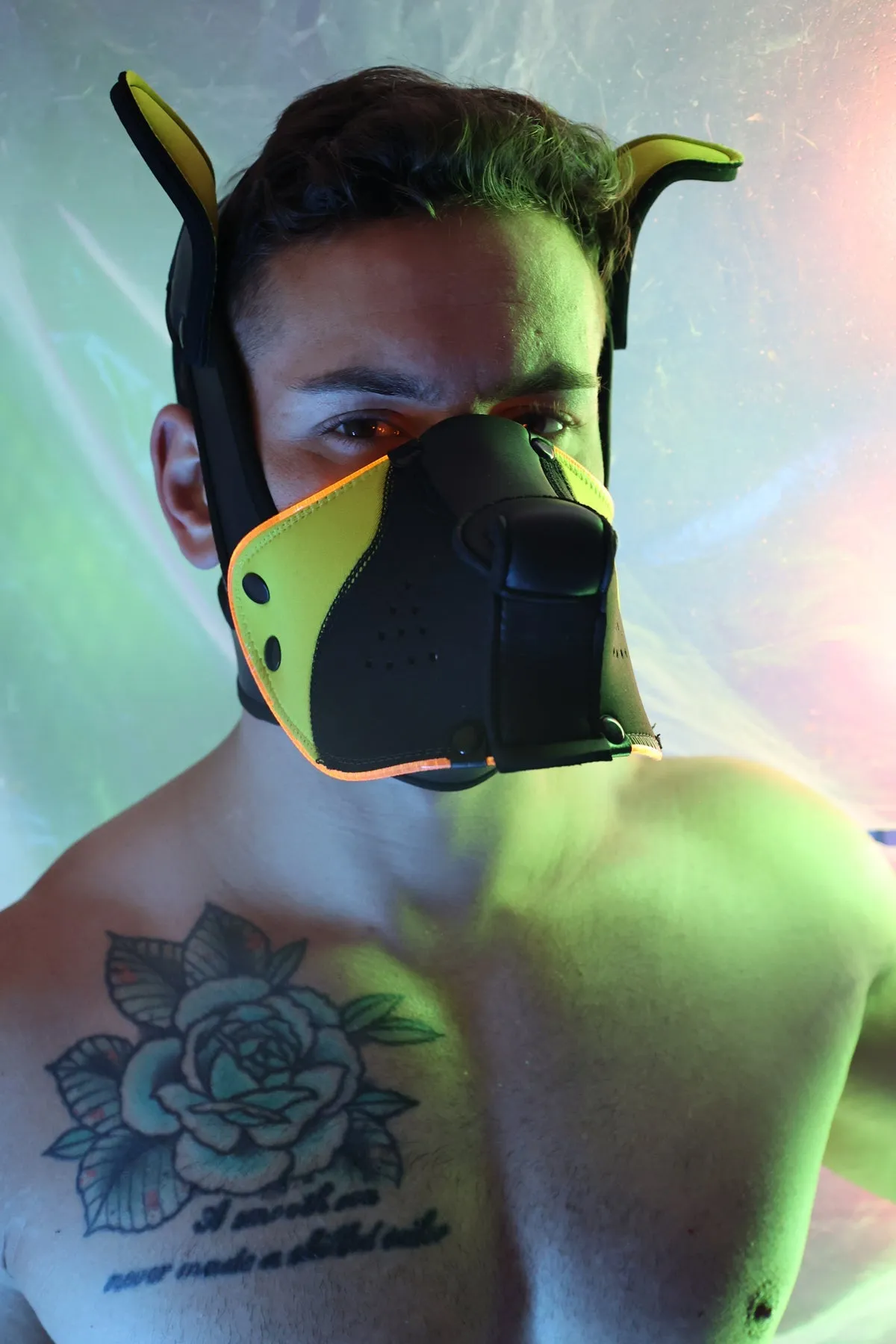 Poundtown Pup Mask 2.0 - Yellow