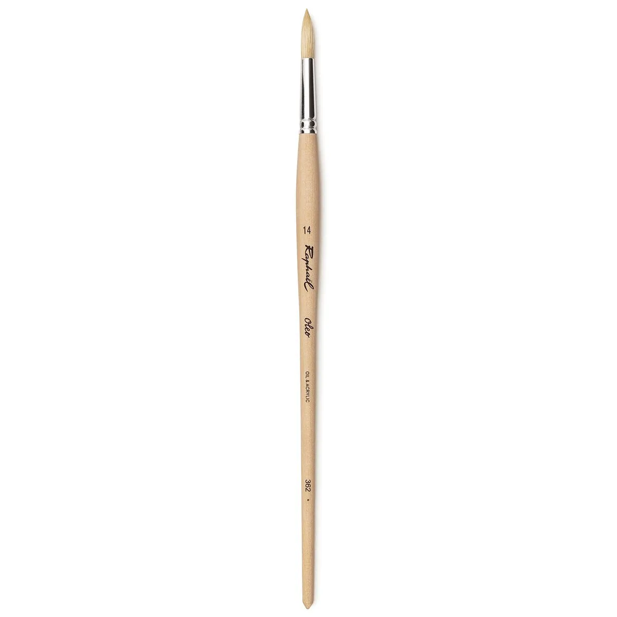 Raphael 362 Oleo White Hog - Round Brush