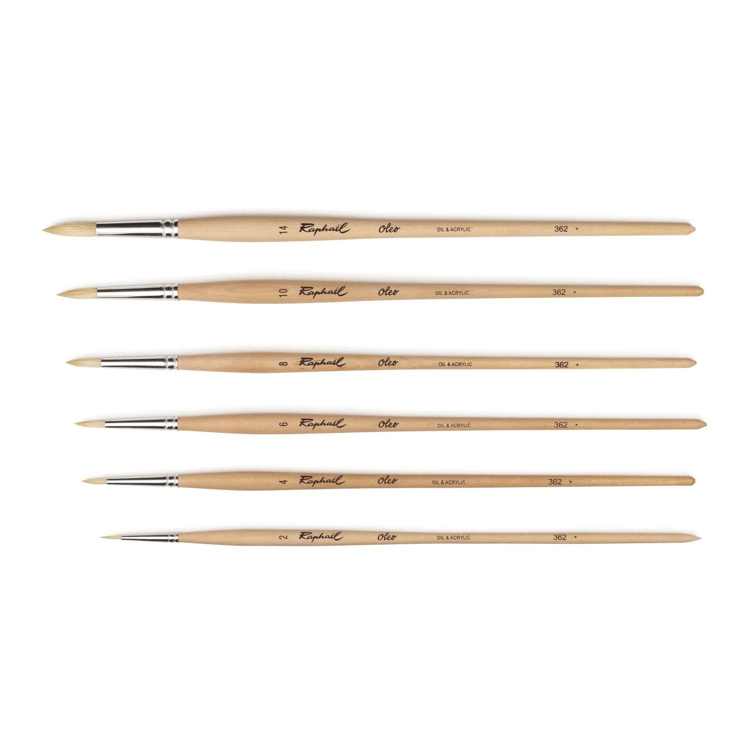Raphael 362 Oleo White Hog - Round Brush
