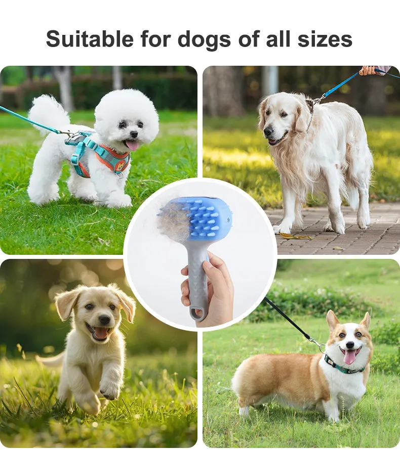 Silicone Dog Brush Manufacturer
