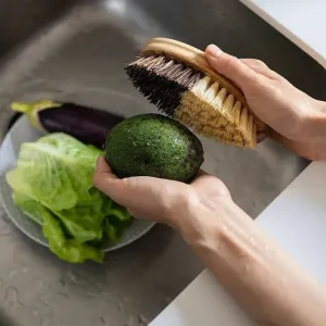 Vegetable Brush