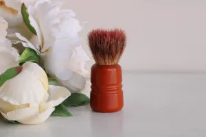 Vintage 1950s Saving Brush