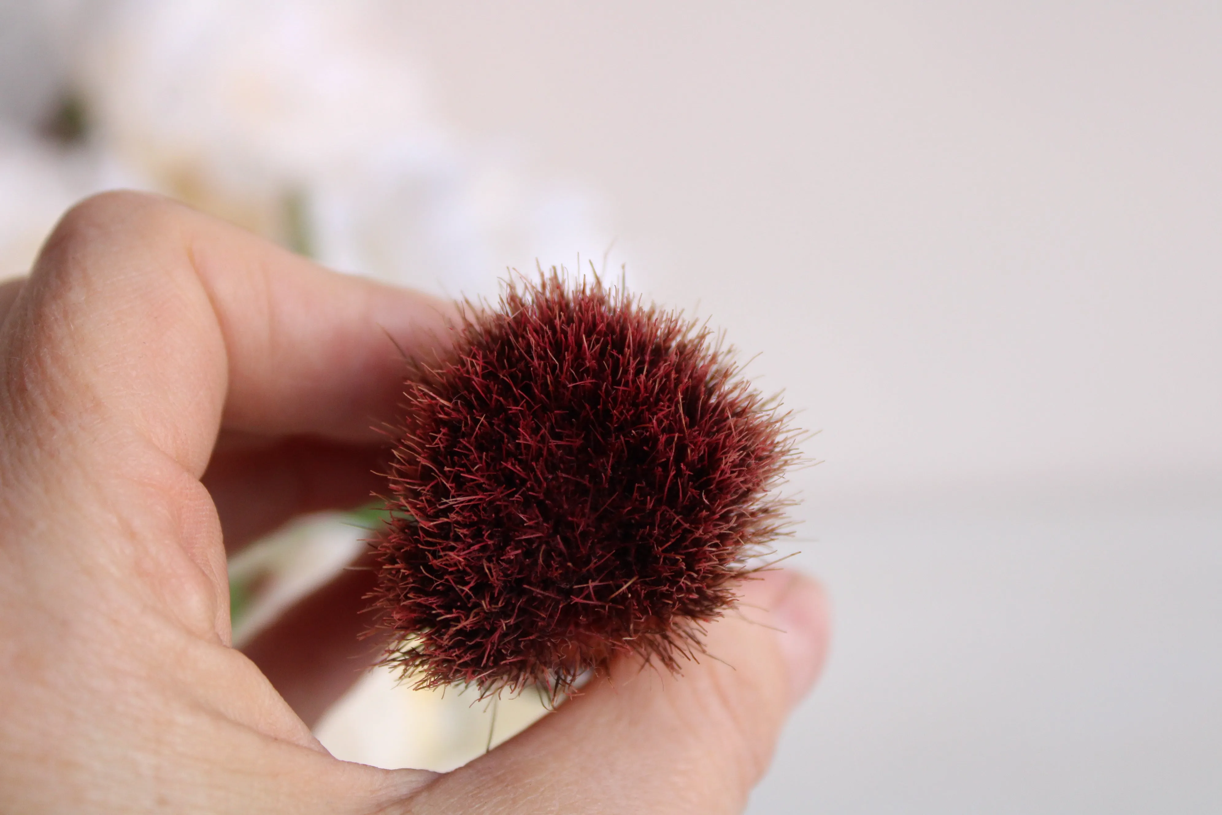 Vintage 1950s Saving Brush