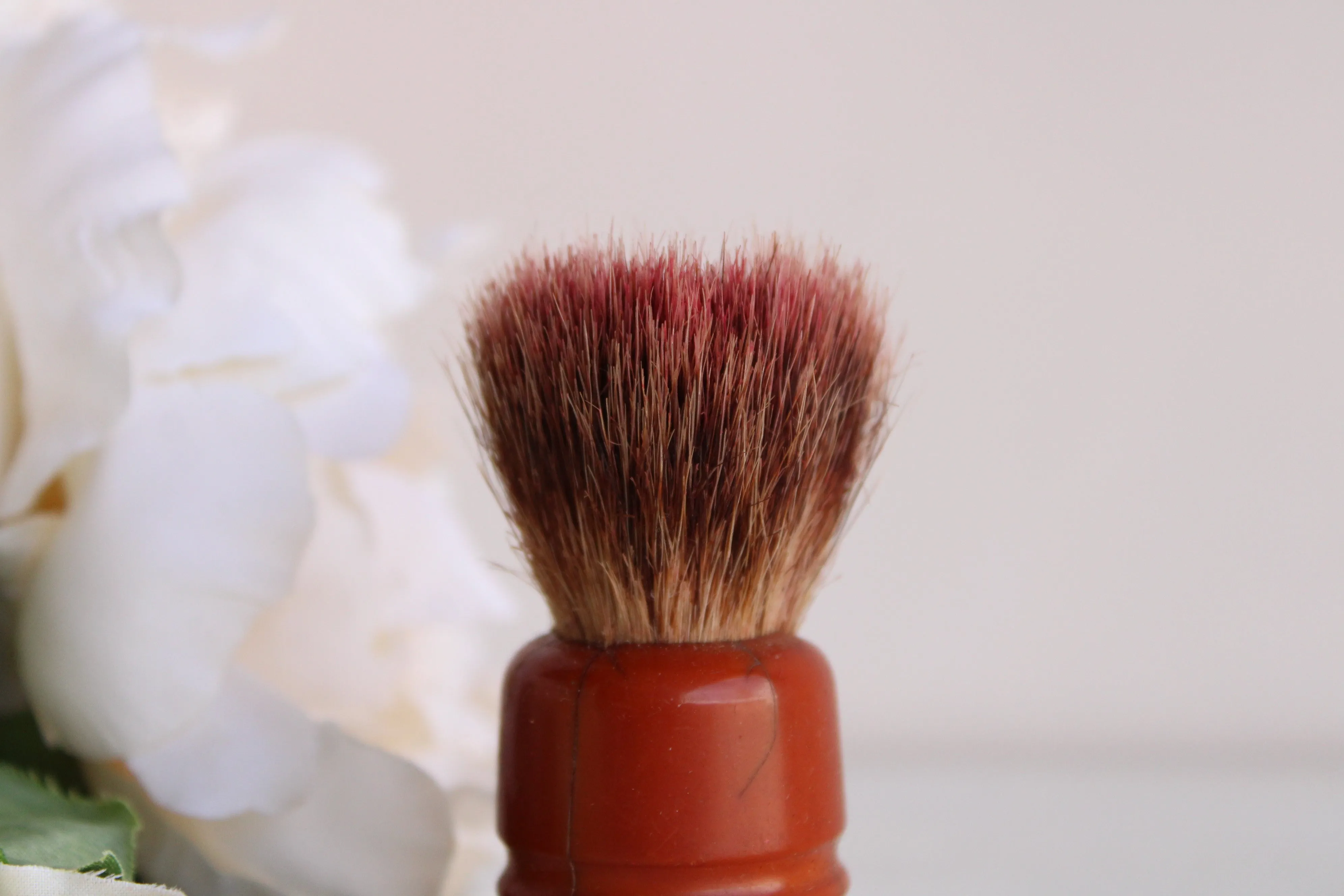 Vintage 1950s Saving Brush